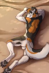stratus shepherd fan art
