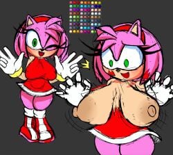 amy rose from sonic (series) by shorties tavern