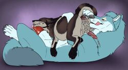 animal_genitalia animal_penis anus balls blue_body blue_fur bodily_fluids brown_body brown_fur canid canine canine_genitalia canine_penis cum cum_in_ass cum_inside cum_on_own_penis cum_on_penis cum_on_self duo ears_back erection feral feral_on_feral fur gaping gaping_anus genital_fluids genitals grey_balls grey_body grey_fur hi_res killthe_demon lying male male/male mammal narrowed_eyes on_back on_top penis penis_tip pivoted_ears red_penis side_view simple_background size_difference smile