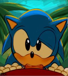 2boys anthro blue_arms cat_ears crazedg cute erection fellatio gloves hedgehog knuckles_the_echidna looking_at_viewer male male_only multiple_males nude open_mouth oral outdoors penis pov quills saliva sega sonic_(series) sonic_the_hedgehog sucking yaoi