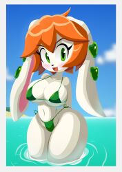 anthro beach big_breasts bikini blush canine female female_protagonist freedom_planet freedom_planet_2 looking_at_viewer milla_basset thick_thighs video_games yellowdrill
