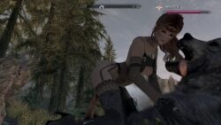skyrim succubus tagme the_elder_scrolls zoophilia