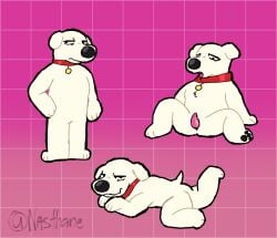 20th_century_fox 20th_century_studios anthro black_nose black_pawpads brian_griffin canid canine collar collar_only collar_tag digital_media_(artwork) family_guy fuzzy_door_productions genitals hi_res legs_up looking_at_viewer lying male mammal nasthane nude on_front open_mouth pawpads penis raised_leg raised_tail red_collar simple_background slit_penis solo spreading spreaidng tail tapering_penis white_body