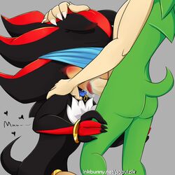 scourge the hedgehog from sega by popvizik
