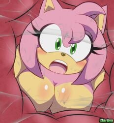 amy_rose anal anal_vore anthro breasts claraya duo female hi_res internal male male/female nude rouge_the_bat same_size_vore sega shocked sonic_(series) sonic_the_hedgehog_(series) unwilling_prey vore