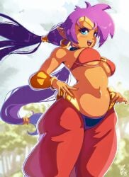 1girls belly_dancer belly_dancer_outfit benbeau big_breasts blue_eyes blush breasts cleavage dark-skinned_female dark_skin earrings eye_contact female female_only genie large_breasts long_ears long_hair looking_at_viewer midriff navel pointy_ears ponytail purple_hair shantae shantae_(character) simple_background smile smiling smiling_at_viewer smooth_skin solo solo_female tagme thighs tiara twintails wayforward