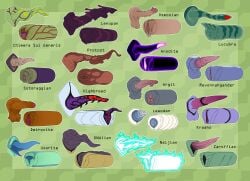 absurd_res alien animal_genitalia anodite argits_species balls ben_10 blue_penis cartoon_network chimera_sui_generis clitoral_hood clitoris cloaca detrovite dildo dnalien female fire foreskin genitals glowing glowing_genitalia glowing_penis glowing_vulva goo_creature hi_res highbreed kraaho lenopan lewodan lucubra lumen_fox male model_sheet naljian osmosian penetrable_sex_toy penile_spines penis pink_penis prehensile_clitoral_hood protost purple_penis revonnahgander sex_toy slug_penis sotoraggian spikes spikes_(anatomy) spiral_penis spurs_(anatomy) tapering_penis tentacle translucent unusual_anatomy unusual_genitalia unusual_penis unusual_vulva uxorite vulva zaroffian