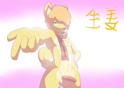 1boy 2015 anthro balls blue_eyes canine curled_tail erection hair hand_on_hip humanoid_penis looking_at_viewer male male_only mammal munks nude orange_hair penis scarf shiba_inu smile solo thick_thighs wannabe_shiba