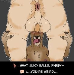 anthro anthro_on_anthro anus ass backsack ball_tuft balls balls_on_face blush body_hair breasts brown_fur butt_focus deer duo english_text female furry hooved_fingers male male/female mammal nipples nude open_mouth perineum pig presenting_anus puffy_anus roe_deer smile suina sus_(pig) text these_aren't_my_glasses tongue tongue_out