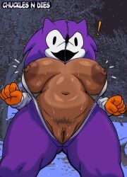 absurd_res areola bodily_fluids breasts clothing cosplay costume dark_body dark_skin donnitro72 eulipotyphlan exclamation_point female fist freckled_breasts freckles genitals hedgehog hi_res human human_only mammal needlemouse_(character) needlemouse_(series) nipples not_furry organs pubes sarah_henderson_(needlemouse) simple_background slightly_chubby slightly_chubby_female solo sonic.exe_(series) stomach sweat thick_thighs vulva wide_hips zipper zipper_down zipper_jumpsuit