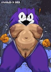 absurd_res areola bodily_fluids breasts clothing cosplay costume donnitro72 eulipotyphlan exclamation_point female fist freckled_breasts freckles genitals hedgehog hi_res human human_only mammal needlemouse_(character) needlemouse_(series) nipples not_furry organs pubes sarah_henderson_(needlemouse) simple_background slightly_chubby slightly_chubby_female solo sonic.exe_(series) stomach sweat thick_thighs vulva wide_hips zipper zipper_down zipper_jumpsuit