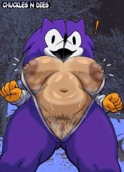 absurd_res areola bodily_fluids breasts clothing cosplay costume donnitro72 eulipotyphlan exclamation_point female fist freckled_breasts freckles genitals hedgehog hi_res human human_only mammal needlemouse_(character) needlemouse_(series) nipples not_furry organs pubes sarah_henderson_(needlemouse) simple_background slightly_chubby slightly_chubby_female solo sonic.exe_(series) steam stomach sweat thick_thighs vulva wide_hips zipper zipper_down zipper_jumpsuit