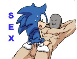 anal ass blue_fur cum fur furry hedgehog human karlo male male_only mammal multiple_males penis riding sega sex sonic_(series) sonic_the_hedgehog text translucent yaoi