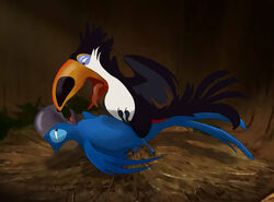 anal anal_sex avian beak bird blu_(rio) blue_sky_studios feathers feral gay macaw male male_only mcfan parrot penetration rafael_(rio) rio_(film) rio_(series) toucan yaoi