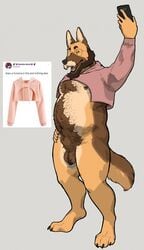 2018 animal_genitalia balls belly body_hair bottomless canid canine canis cellphone chest_hair clothed clothing domestic_dog eyewear facial_hair fangs german_shepherd glasses hairy half-closed_eyes hand_on_hip happy_trail herding_dog hoodie kimmykun kimmykun_(character) looking_up male male_only mammal meme mostly_nude moustache musclegut navel nipple_piercing nipples open_mouth pastoral_dog phone piercing pink_hoodie pubes red_eyes seductive selfie sheath simple_background smartphone thick_thighs topwear twitter twitter_hoodie white_background