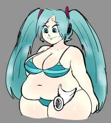 hatsune miku from vocaloid
