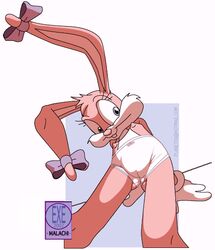 1girls 2002 anthro babs_bunny bows female female_only fur furry furry_only malachi mammal nipples panties pink_fur purple_bows rabbit solo tagme tiny_toon_adventures uncensored underwear