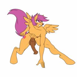 1futa animal_genitalia animal_penis anthro ass balls breasts crouching cutie_mark dickgirl equine erection feathered_wings feathers friendship_is_magic fur furry futanari hair hair_on_head hi_res horse intersex lurkingtyger mammal my_little_pony nipples nude penis pony purple_hair scootaloo_(mlp) smile solo solo_futa spread_wings teeth thick_thighs wings