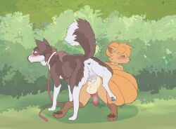 4_toes absurd_res all_fours anal anal_knotting anal_penetration animal_genitalia animal_penis anthro anthro_on_feral anthro_penetrated anus ass_to_ass backsack balls bestiality black_sclera blush brown_body brown_fur brown_pawpads butt canid canine canine_genitalia canine_penis canis collar countershading digitigrade dipstick_tail doggystyle domestic_dog duo ember_(elitetheespeon) erection eyes_closed fan_character feet feral feral_penetrating feral_penetrating_anthro feral_penetrating_male fluffy from_behind_position fur generation_1_pokemon genitals grass green_eyes gushoafterdark hair hi_res husky interspecies knot knotted_penis knotting leash leashed_collar leg_markings looking_back looking_pleasured male male/male male_anthro male_feral male_on_anthro male_on_feral male_on_top male_penetrated male_penetrating male_penetrating_anthro male_penetrating_male mammal markings multi_tail multicolored_body narrowed_eyes nintendo nordic_sled_dog nude on_top orange_body orange_fur orange_hair orange_tail outside pawpads paws penetration penile penile_penetration penis penis_in_ass perineum plant pokemon pokemon_(species) psychobatsu raised_leg raised_tail rear_view red_genitals red_penis robinv sex sheath shrub socks_(marking) spitz tail tail_markings toes vulpix white_balls white_body white_fur