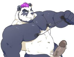 1male beard big_muscles big_pecs big_penis cum cum_leaking dyed_hair dylan_(saltypoundcake) furry hairy_cock muscular nipples panda pierced_ears pierced_nose saltypoundcake spookeedoo unknown_source veiny_penis