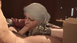 3d animated black_hair blowjob ciri fatcat17 fellatio female green_eyes light-skinned_female light-skinned_male male no_sound oral_sex penis pubic_hair scar sucking_penis tagme the_witcher_(series) the_witcher_3:_wild_hunt video