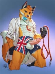 anthro athletic athletic_anthro athletic_male australian_flag balls blue_eyes boxers_(clothing) canid canine cheek_tuft clothed clothing collar condom condom_in_mouth condom_wrapper facial_tuft flag_clothing fluffy fluffy_tail foreskin fox front_view genitals hi_res holding_leash holding_object humanoid_genitalia humanoid_penis kneeling leash leashed_collar lion21 male male_only mammal mouth_hold object_in_mouth open_clothing open_shirt open_topwear orithan penis seductive sexual_barrier_device shirt solo tail topwear tuft underwear