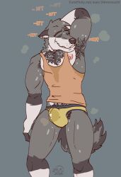 24momochi anthro armpit_hair armpit_sniffing athletic_wear balls blue_eyes bodily_fluids body_hair canid canine canis chest_hair clothing fluffy fluffy_tail genitals gym hi_res himbo himbofication intelligence_loss jockstrap jockstrap_bulge kyash-tyur male male_only mammal muscular muscular_male musk musky_armpit musky_balls musky_underwear pubes raised_arm shirt sniffing solo stink_clouds sweat sweat_stain sweaty_balls sweaty_body sweaty_genitalia sweaty_legs tail tank_top tented_briefs text thick_thighs topwear underwear url wolf woozy