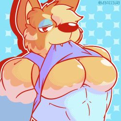 1:1 anthro australian_cattle_dog big_pecs blue_body blue_fur bluey_(series) canid canine canis cattledog clothed clothing clothing_lift domestic_dog fangs fizzyjay fur herding_dog hi_res looking_at_viewer male mammal muscular muscular_anthro muscular_male orange_body orange_fur pastoral_dog pecs presenting presenting_pecs radley_heeler shirt shirt_in_mouth shirt_lift shirt_pulled_up solo teeth topwear