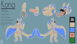 absurd_res anus ass avian bird claws erection feathers hi_res kona korichi long_tongue male model_sheet paws penis prehensile_feet solo stripes text tongue wings