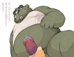 anthro bear clothing fur furry handjob human japanese_text male male_only mammal overweight penis precum text translated wantaro