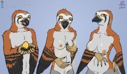 2026 5_fingers absurd_res accipitrid accipitriform anthro areola areola_expansion arm_tuft avian beak belly belly_expansion belly_tuft big_breasts bird black_beak black_body black_claws black_feathers black_striped_feathers black_stripes black_talons breast_growth breasts buteo chest_tuft chickenhawk claws closed_smile crotch_tuft curious dated digital_media_(artwork) egg english_text expansion feather_tuft feathers female female_anthro fingers frown gender_transformation golden_egg grey_background grey_body grey_feathers growth hand_on_belly hand_on_breast hand_on_hip hand_on_own_belly hand_on_own_breast hand_on_own_hip head_tuft hi_res hip_expansion holding_egg holding_object hooked_beak looking_aside looking_at_object looking_at_self looking_down looking_down_at_object looking_down_at_self magic_effects male male_anthro medium_breasts motion_lines mouth_closed mtf_transformation neck_tuft nipple_expansion nipples non-mammal_breasts non-mammal_nipples nude nude_anthro nude_female nude_male open_mouth orange_areola orange_nipples pink_mouth pink_tongue pregnant pregnant_anthro pregnant_female red-tailed_hawk red_body red_feathers scutes sequence shoulder_tuft signature simple_background smile solo sparkles standing stripes surprised talon_hands text three_frame_sequence tongue transformation transformation_by_object transformation_through_magic tuft volcav white_belly white_body white_feathers white_neck wide_hipped_anthro wide_hipped_female wide_hips winged_arms wings xenthetechnomorph yellow_eyes yellow_nose yellow_scutes