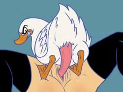 2026 angry angry_face animated cajuzinho02 duck female female_human female_on_feral female_penetrated feral feral_focus feral_on_female feral_on_human feral_penetrating human human_penetrated legs legs_up male/female male_penetrating vagina vaginal_penetration vaginal_sex zoophilia