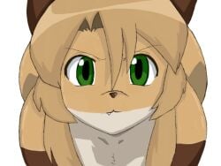averi (fiddleafox) from azumanga daiou