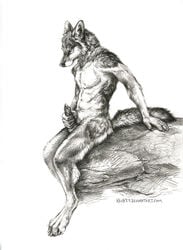 1boy 2015 anthro canine claws erection fur kenket male male_only mammal masturbation nude penis solo wolf