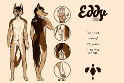 1boy anthro ass balls canine eddy edesk fox hindpaw hybrid looking_at_viewer male male_only mammal model_sheet nude pawpads paws penis solo standing toes