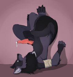 1boy anthro ass_up canine claws closed_eyes cum elapid fur garou leaking lying male male_only mammal masturbation nude on_back open_mouth paws penis plain_background solo wolf