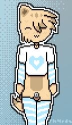 .3 1boy 1femboy 1furry :3 alternate_version_available androgynous animal_genitalia blush bra cat_boy cat_ears catboy catsune chastity_cage chastity_device close-up close_up closed_eyes crop_top crop_top_hoodie english_text femboy femboy_only flat_chastity_cage fox_tail full_body fur furry furry_only genitals hand_warmers harry_(sh4rdz) kitsune_tail male male_only markings one_eye_covered original original_character penis pixel_(artwork) pixel_art self_insert self_upload sh4rdz_(artist) small_penis tagme thick thighhighs thighs