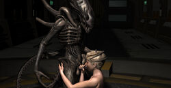 1boy 1girls 3d alien alien_(franchise) balls drone female female_human femsub human male male_xenomorph maledom mammal oral penis rape straight wooky xenomorph