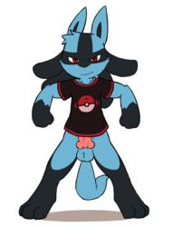 1boy 2015 3_fingers 3_toes animal_genitalia anthro balls bottomless canine_penis chibi clothed clothing erection fur half-dressed knot looking_at_viewer lucario male male_only nintendo oob penis pink_penis pokémon pokémon_(species) pose red_eyes solo standing toes video_games