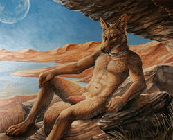 1boy 2015 abs animal_genitalia anthro brown_eyes brown_fur canine canine_penis cave claws collar desert erection fur grass jackal knot lake looking_at_viewer male male_only mammal moon nude penis presenting rock rukis shaded solo teasing