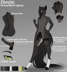 anthro canine dimitri equine erection fur hair hax-the-monster headshot_portrait horse hybrid knot looking_at_viewer male mammal model_sheet nude open_mouth penis piercing portrait smile wolf