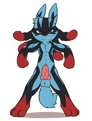 1boy 2015 3_fingers 3_toes angry animal_genitalia anthro balls canine_penis chibi clenched_teeth erection fur knot looking_at_viewer lucario male male_only mega_evolution mega_lucario nintendo oob penis pink_penis pokémon pokémon_(species) pose red_eyes solo standing teeth toes vein veiny_penis video_games