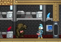 animated avian avian_(starbound) bear bird dildo erection mabit male male_only mammal mod penis sex_toy starbound video_games werebear