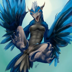 1futa antar_dragon anus avian blue_feathers breasts claws dickgirl feathers futanari harpy intersex nipples orange_eyes penis slit_pupils solo white_feathers