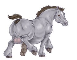 2015 animal_genitalia anus balls big_anus brown_eyes brown_hair chubby dogsoul equine feral fur grey_hair hair half-erect hooves horse horsecock looking_at_viewer male mammal penis puffy_anus running solo white_fur