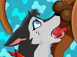 2019 ambiguous_gender animal_genitalia balls black_body black_fur black_nose blue_eyes bodily_fluids brown_body brown_fur bulge canid canine canine_genitalia canis collie cum cum_in_mouth cum_inside deep_throat detailed_bulge domestic_dog drinking drinking_cum duo ejaculation erection faceless_character faceless_male fellatio feral fur genital_fluids genital_outline genitals herding_dog knot knot_root knotting male mammal oral oral_knotting oral_only oral_penetration pastoral_dog penetration penile penis_in_mouth penis_outline raddog sex sheepdog signature simple_background sucking tail tongue