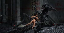 1boy 1girls 3d 3d_(artwork) alien alien/human alien_(franchise) alien_girl duo female female_xenomorph human interspecies male male/female male_human/female_alien male_human/female_humanoid mammal queen royalty sex smaller_male straight wooky xenomorph xenomorph_queen