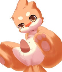 3_toes balls black_nose blush brown_eyes buizel cute foot_focus fur kemono male male_only mammal moki multicolored_fur mustelid nintendo orange_fur otter pawpads paws penis plain_background pokemon solo toes two_tone_fur video_games white_background white_fur