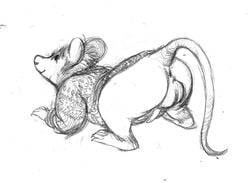 2015 anus ass balls bottomless clothing erection feral hindpaw looking_back male mammal mouse oddwilds paws pencil_(artwork) penis presenting presenting_hindquarters rodent sketch smile solo traditional_media_(artwork)