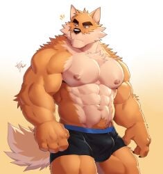 2025 4_fingers abs anthro bara barazoku biceps black_briefs black_clothing black_underwear blue_eyes briefs brown_eyebrows canid canine canis claws clothing dated deltoids domestic_dog eyebrows finger_claws fingers forearm_muscles fur furry gradient_background hi_res male mammal masculine nipples obliques orange_body orange_fur otake pecs pubes signature simple_background solo tail takemoto_arashi underwear yellow_background